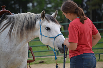 Cobblestone Crossing Equestrian Center playing tag in the arena