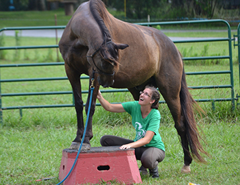 Cobblestone Crossing Rehabilitation